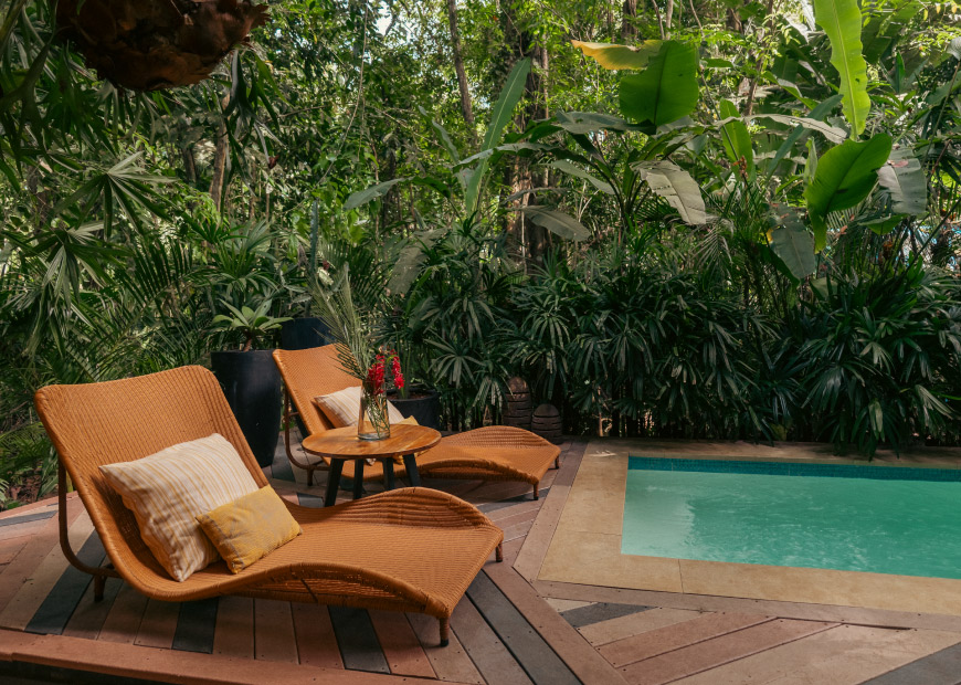 exclusive-jungle-gallery-3