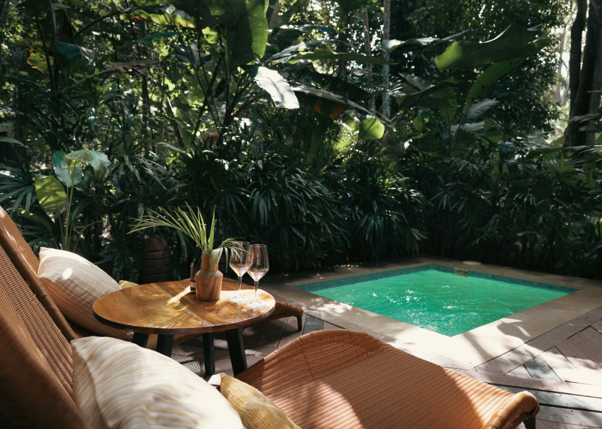 exclusive-jungle-gallery-4