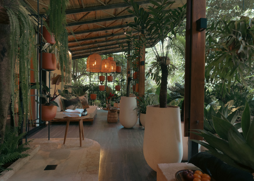 master-jungle-suite-4