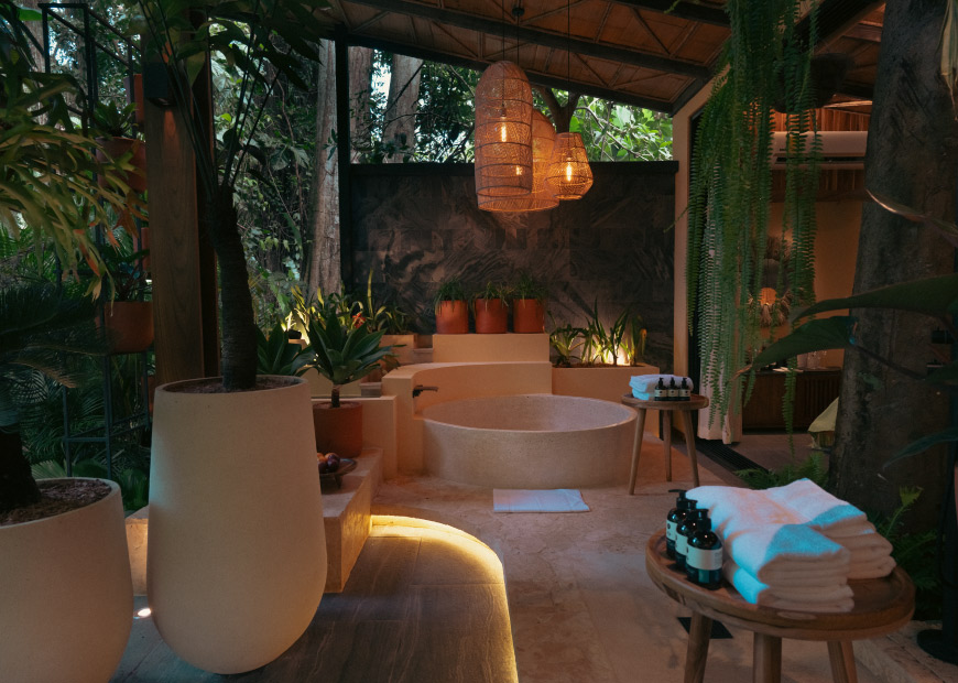 master-jungle-suite-5