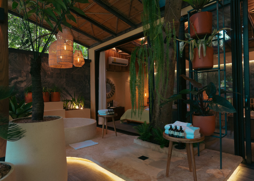 master-jungle-suite-6