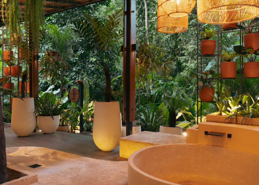 master-jungle-suite-7